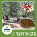 cGMP Chinese Manufacture Olive Leaf Extract Oleuropein & Hydroxytyrosol Powder KS-06